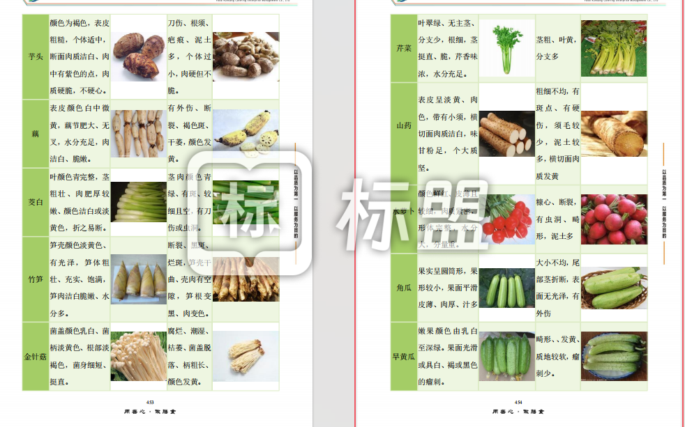 店铺